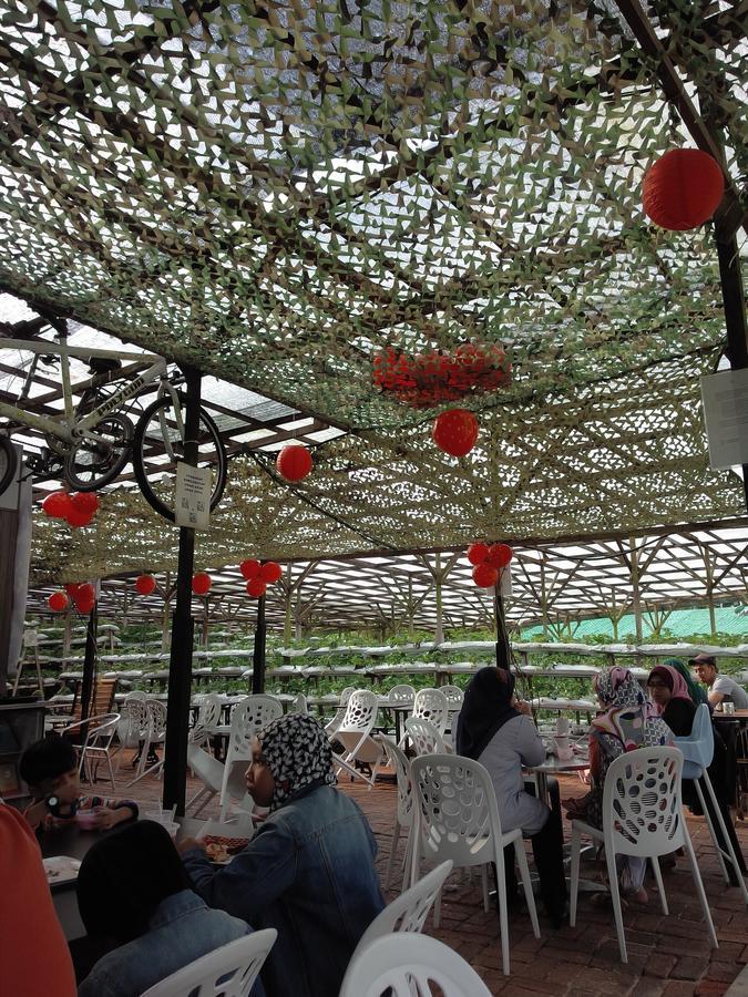 Azizi&Yati Muslim Homestay Cao nguyên Cameron Ngoại thất bức ảnh